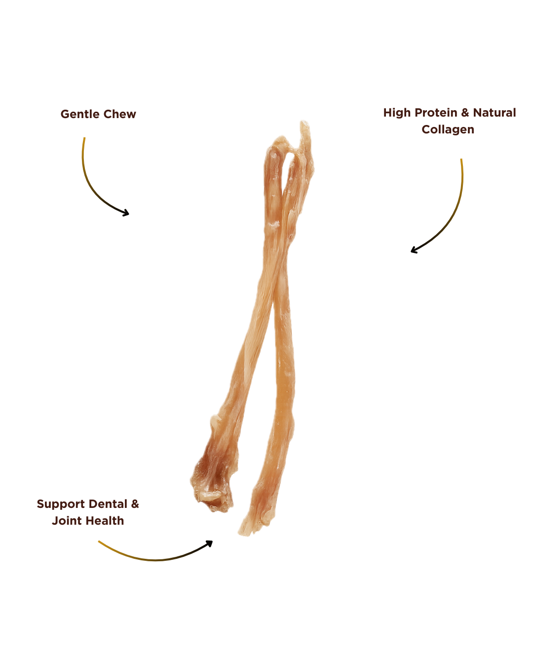 Pork Tendon