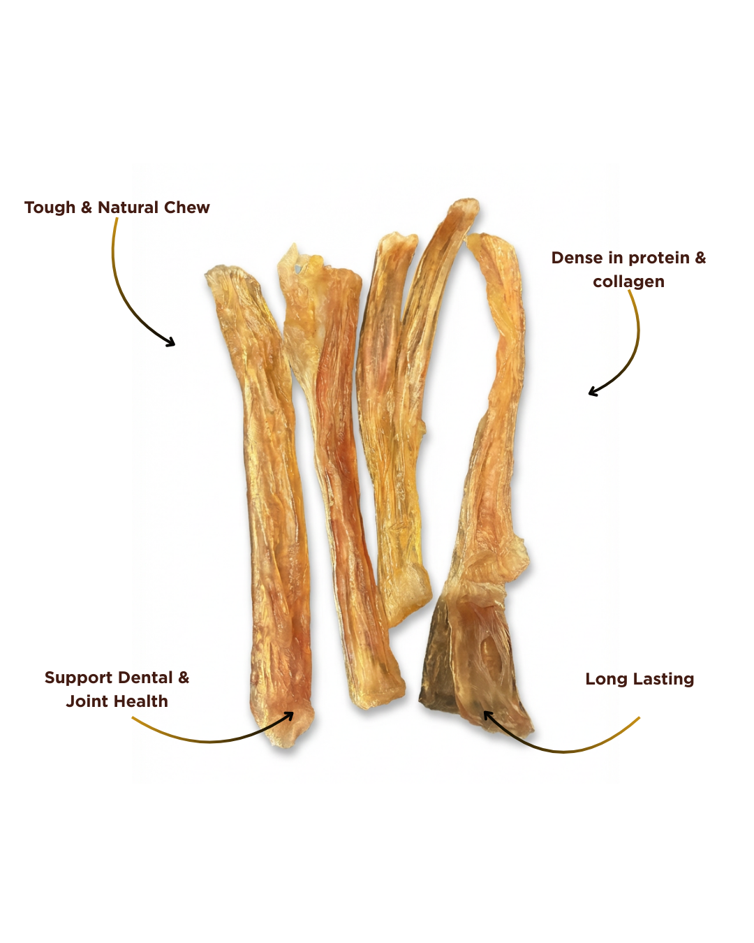 Beef Tendon
