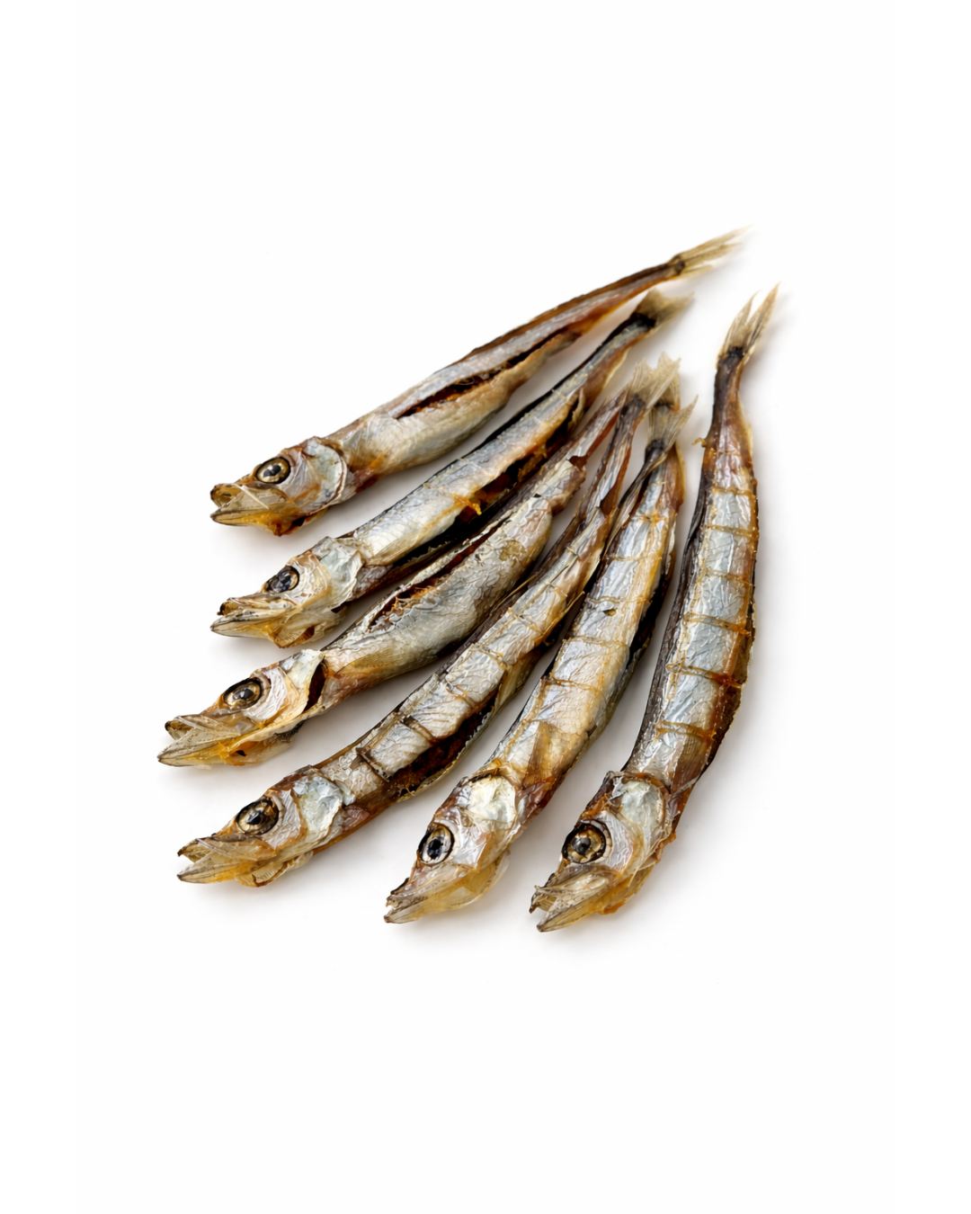 Shishamo (Capelin)