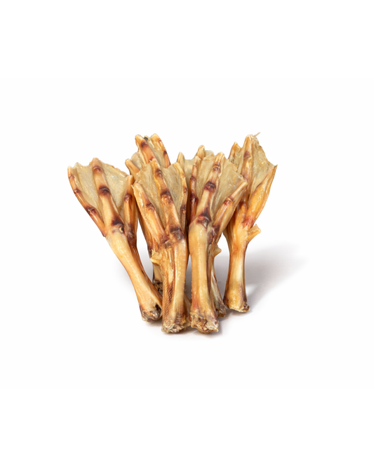 Duck Feet