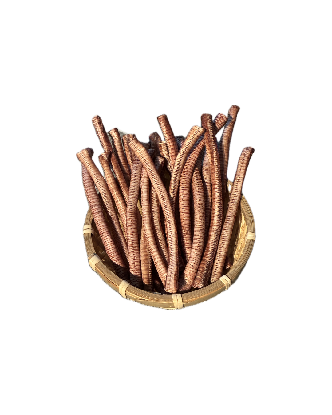 Duck Trachea
